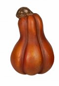 liten orange pumpa, dekoration