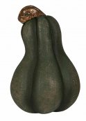liten grön pumpa, dekoration