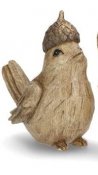 fågel med ekollonhatt