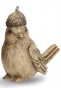 fågel med ekollonhatt