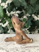 Kanin som gör gymnastik