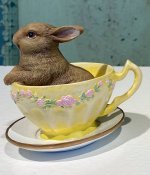 Kanin i gul kaffekopp