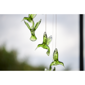 gröna kolibrier som lyser i mörkret