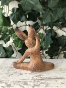 Kanin som gör gymnastik