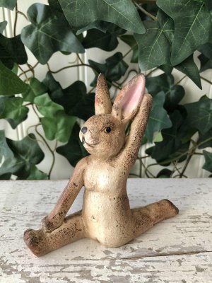 kanin som gör gymnastik