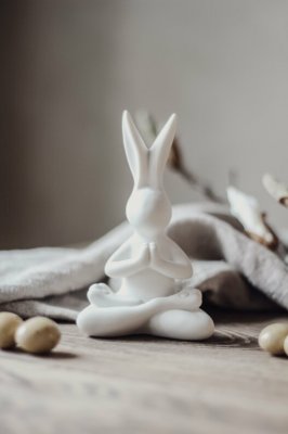 kanin, yoga, majas cottage