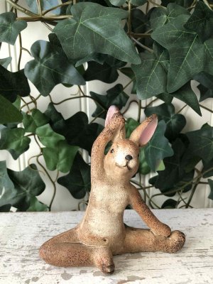 kanin som gör gymnastik