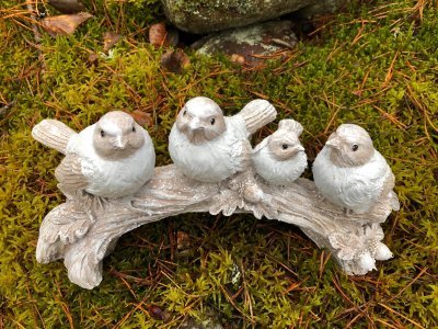 Fyra fåglar på gren